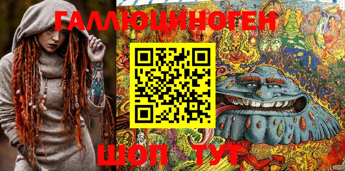 Галлюциногенные грибы Psilocybe Ухта
